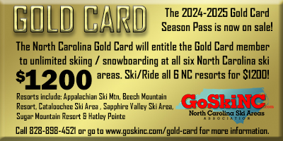gold card 2024 25